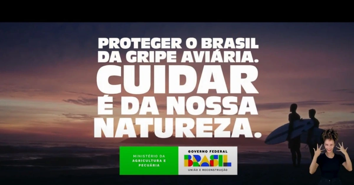 Novas medidas contra a gripe aviária 2 Governo lança campanha de proteção contra a gripe aviária