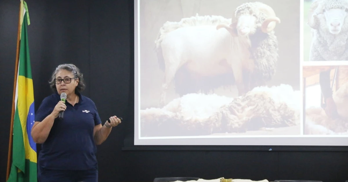Novidade: Agromantas de lã no fórum! 14 Agromantas de lã são apresentadas em fórum da cadeia produtiva