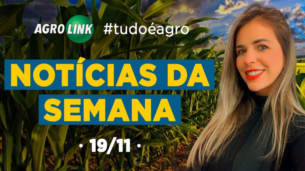 novidades no agronegocio confira