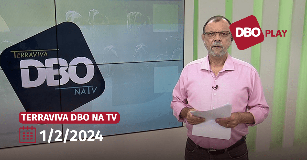 Terraviva DBO na TV | Veja o programa completo de quinta-feira, 1 • Portal DBO
