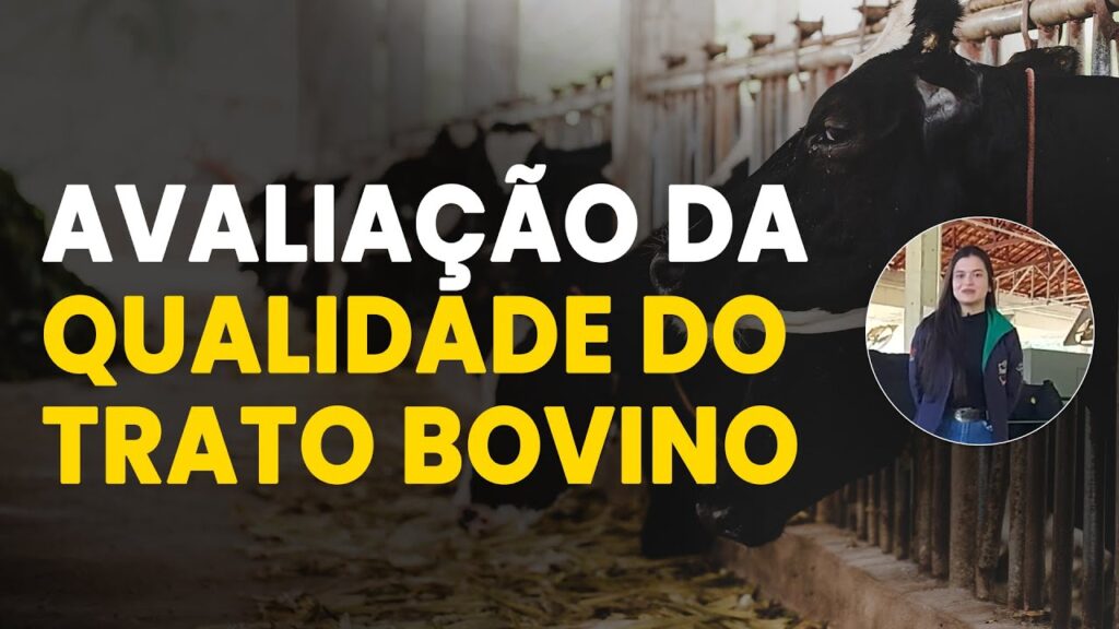 nutricao de bovinos insumos de alta qualidade