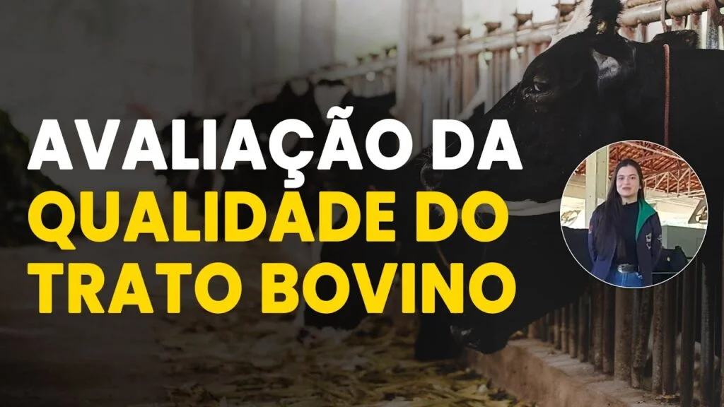 Nutrição de bovinos: insumos de alta qualidade 2 nutricao de bovinos insumos de alta qualidade