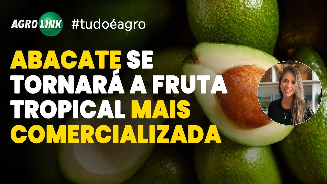 O Agro em Destaque: Notícias do Dia