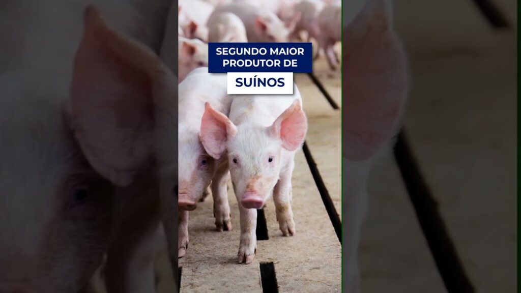 o agro paranaense em destaque f09f8cb1