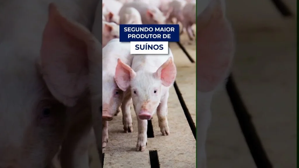 o agro paranaense em destaque f09f8cb1