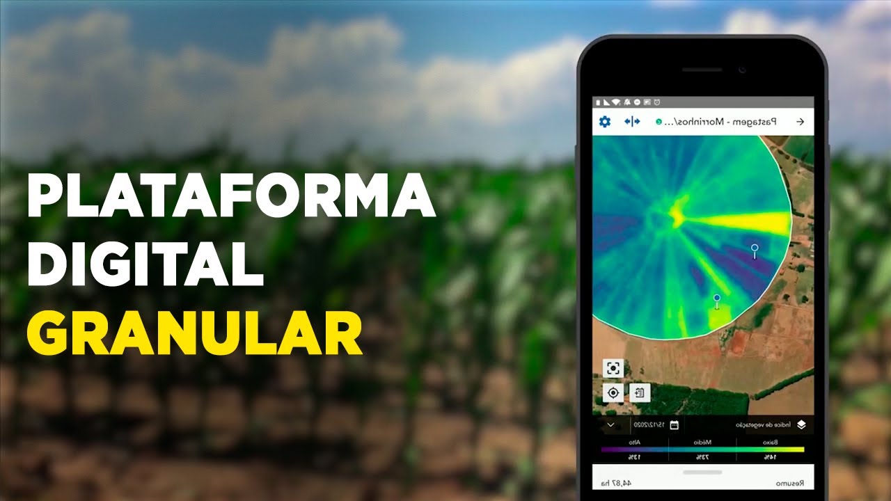 O Futuro Digital: Plataforma Granular