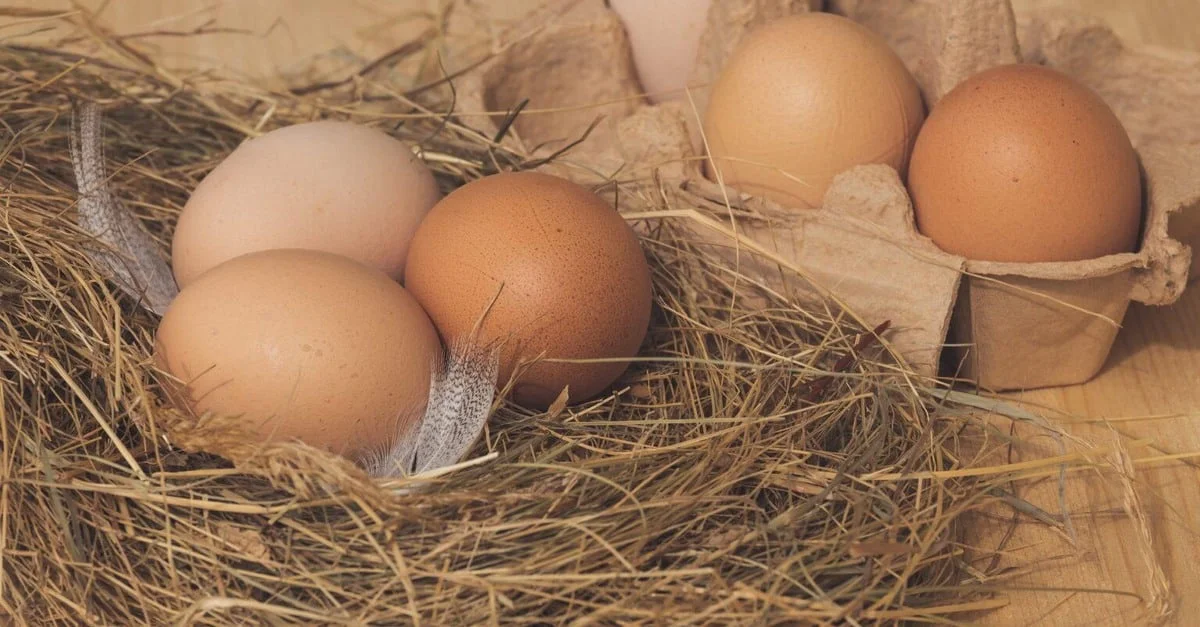 O que causou o aumento dos preços? 27 Ovos ficam mais caros; salário na conta e volta às aulas são os responsáveis