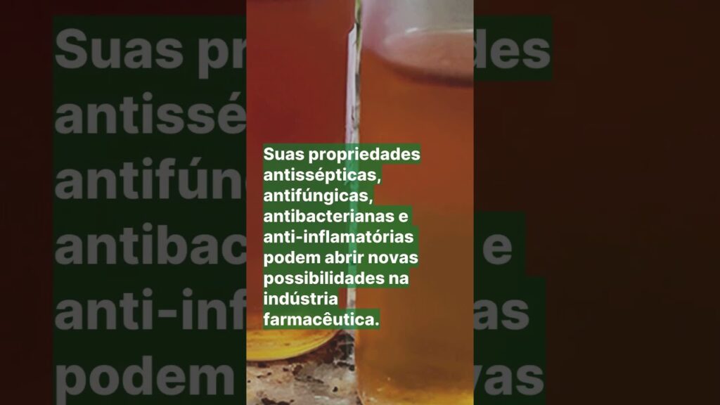 oleo essencial de alecrim do mato contra fungos e bacterias embrapa