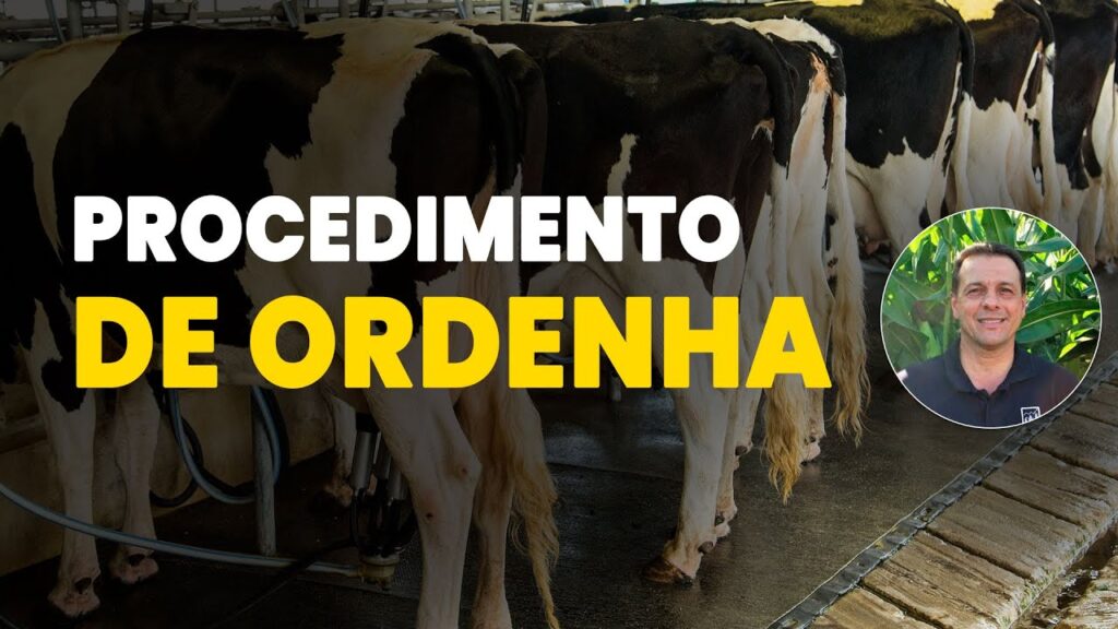 ordem leite de qualidade