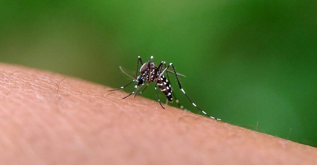 País ultrapassa 650 mil casos e 113 mortes! 15 país ultrapassa 650 mil casos e 113 mortes confirmadas