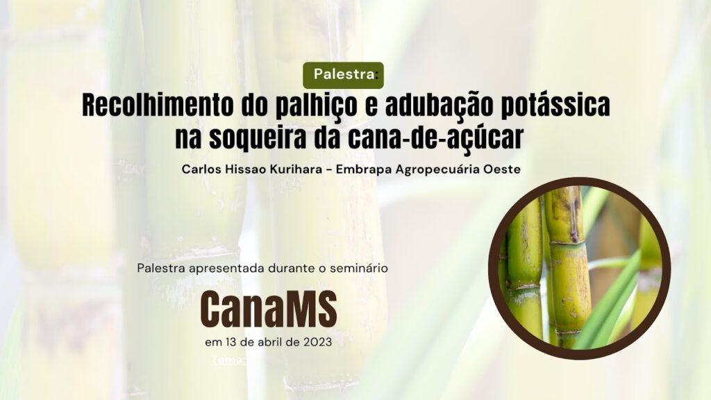 Palestra_Recolhimento do palhiço e adubação potássica na soqueira da cana-de-açúcar 1 palestra recolhimento do palhico e adubacao potassica na soqueira da cana de acucar