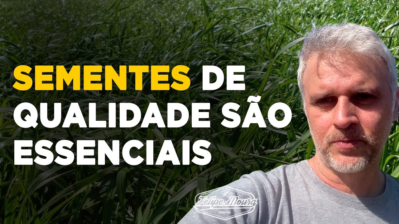 Pastagem Perfeita: Dicas Especiais – PT.3