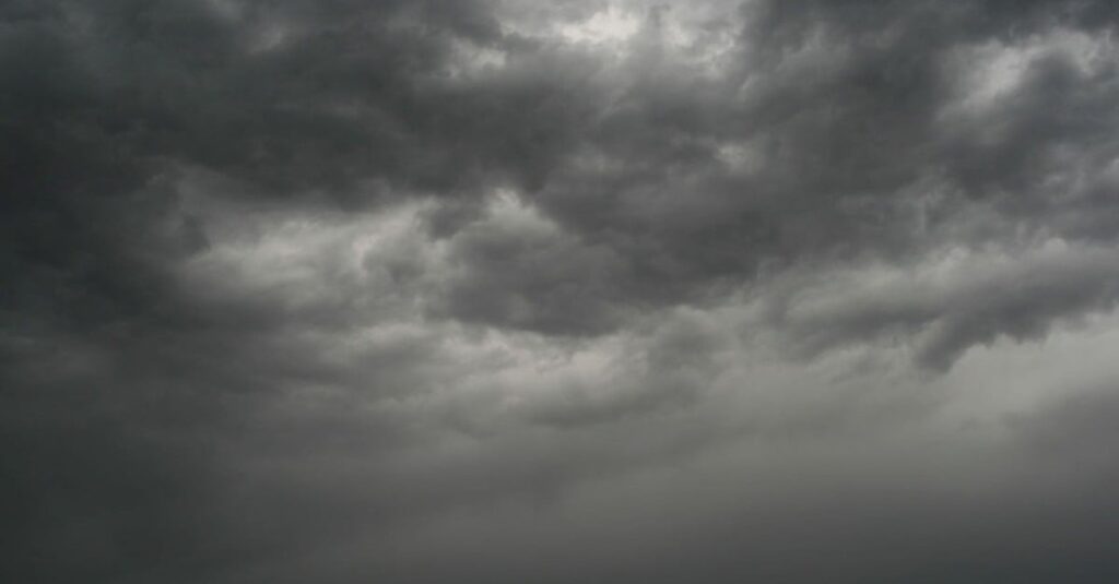 Chuvas frequentes e com alta intensidade atingem os pastos do Centro-Norte do Brasil