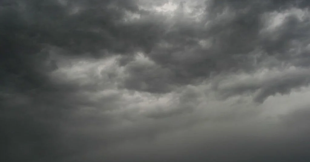 Pastos do Centro-Norte sob chuvas intensas 23 Chuvas frequentes e com alta intensidade atingem os pastos do Centro-Norte do Brasil