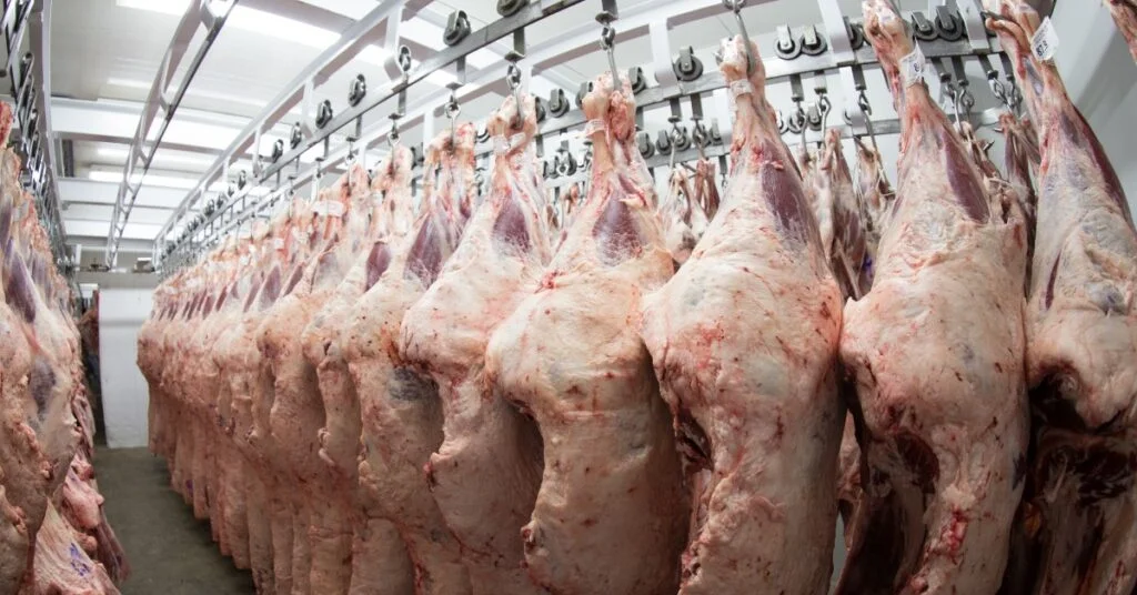 "Pecuária de corte: evolução surpreendente" • Portal DBO 9 "Produtividade da pecuária de corte evoluiu em vários aspectos" • Portal DBO