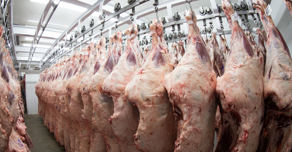 "Produtividade da pecuária de corte evoluiu em vários aspectos" • Portal DBO