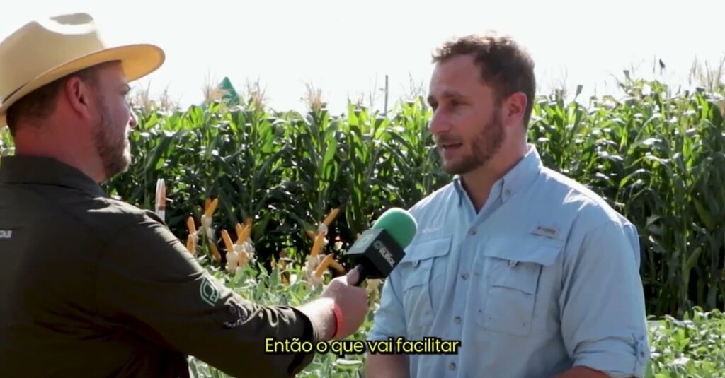 Plantas daninhas atrapalham soja na Metade Sul 6 Plantas daninhas dificultam cultivo da soja na Metade Sul