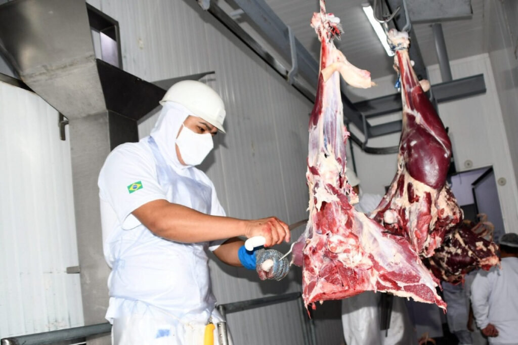 Preços do boi gordo e da carne bovina seguem enfraquecidos em fevereiro | Notícias de Campo Grande e MS