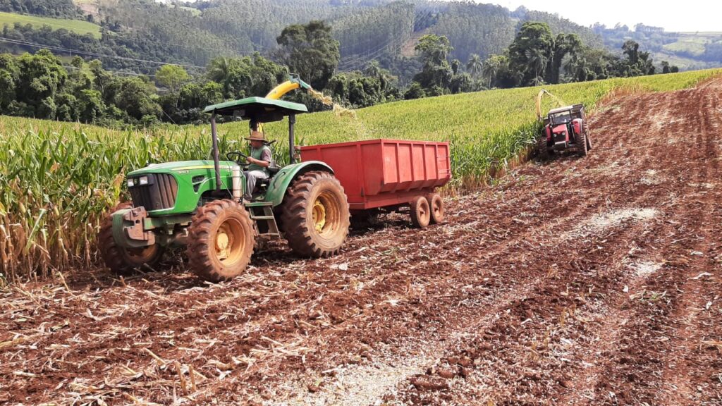 Prefeitura de Seara ajuda na colheita de silagem! 22 Prefeitura de Seara auxilia na colheita de silagem no município