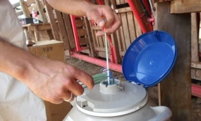 Prefeitura recebe insumos pecuários. 8 MT Agora