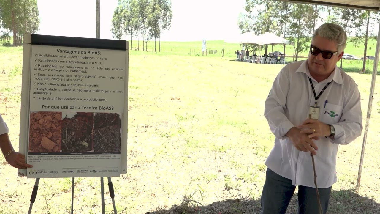 principais resultados da saude do solo dento do sistema ipf