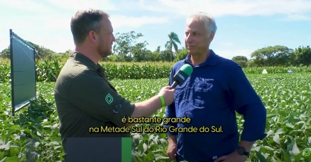 Produção agrícola na Metade Sul RS: segredo do sucesso. 2 Rotação de soja e arroz auxiliam produtores da Metade Sul do RS
