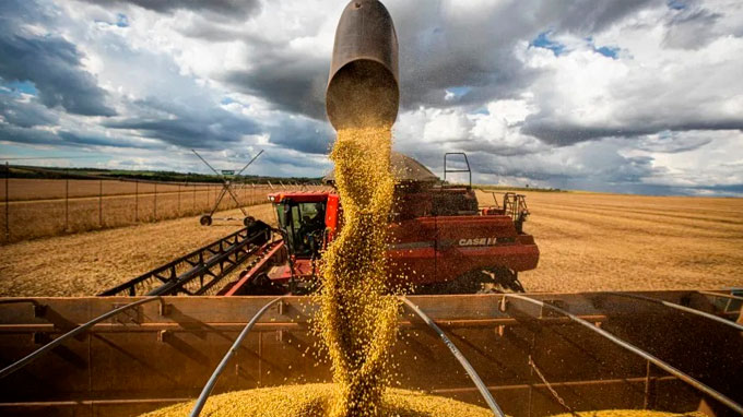 Produtores buscam novos métodos em 2024 1 Produtores buscam novos métodos em 2024