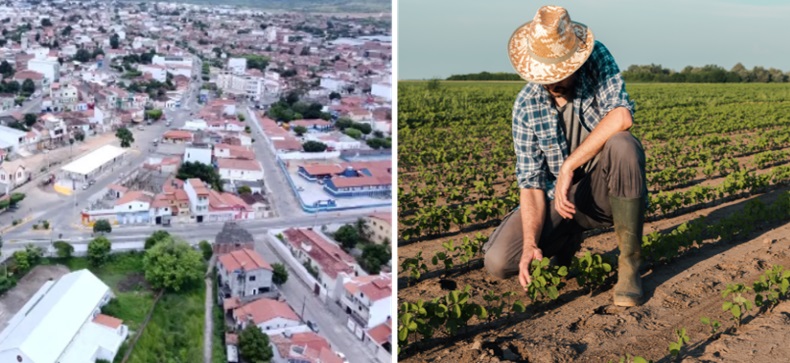 Programa Mais Pecuária Brasil: suporte técnico em Itaberaba