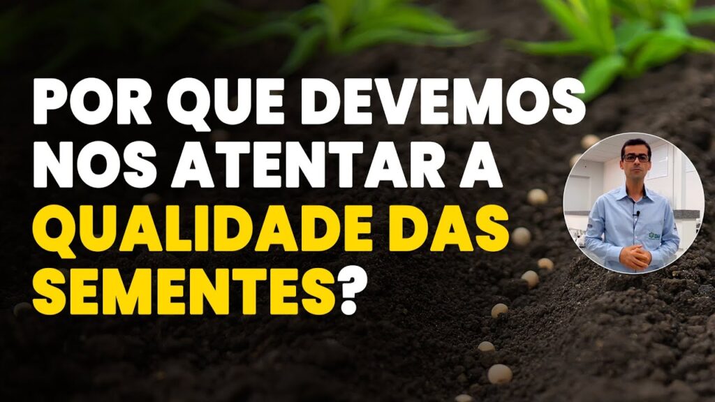 qualidade das sementes impacto na lavoura