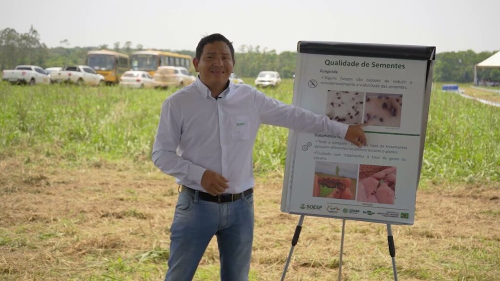 qualidade de sementes e opcoes forrageiras