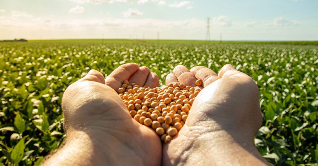 Colheita de soja 2023/24 atinge 32% da área no Brasil, mostra AgRural • Portal DBO