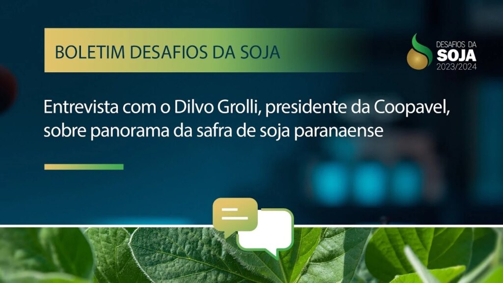 Apesar da quebra na safra, Paraná projeta bons resultados
