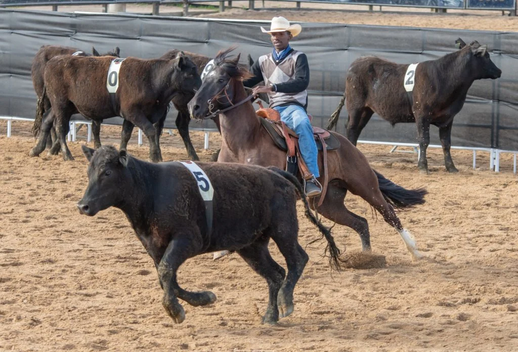 Raça Crioula: Finais emocionantes! 1 Raça Crioula realiza finais das provas Campereada e Ranch Sorting do ciclo 2023