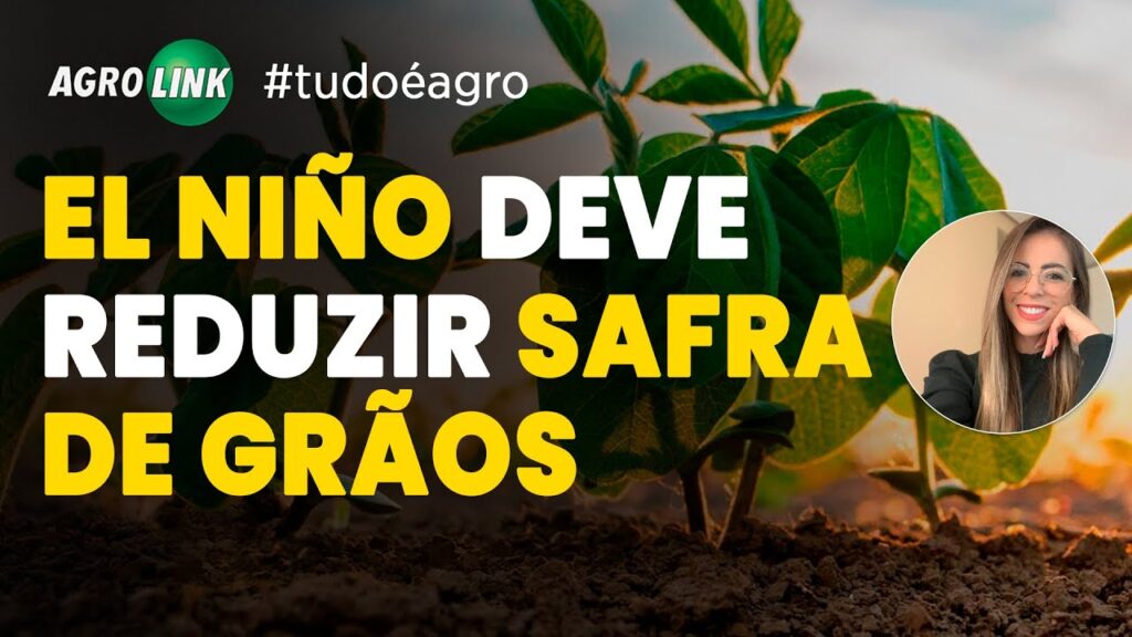resumo do agro as noticias da semana
