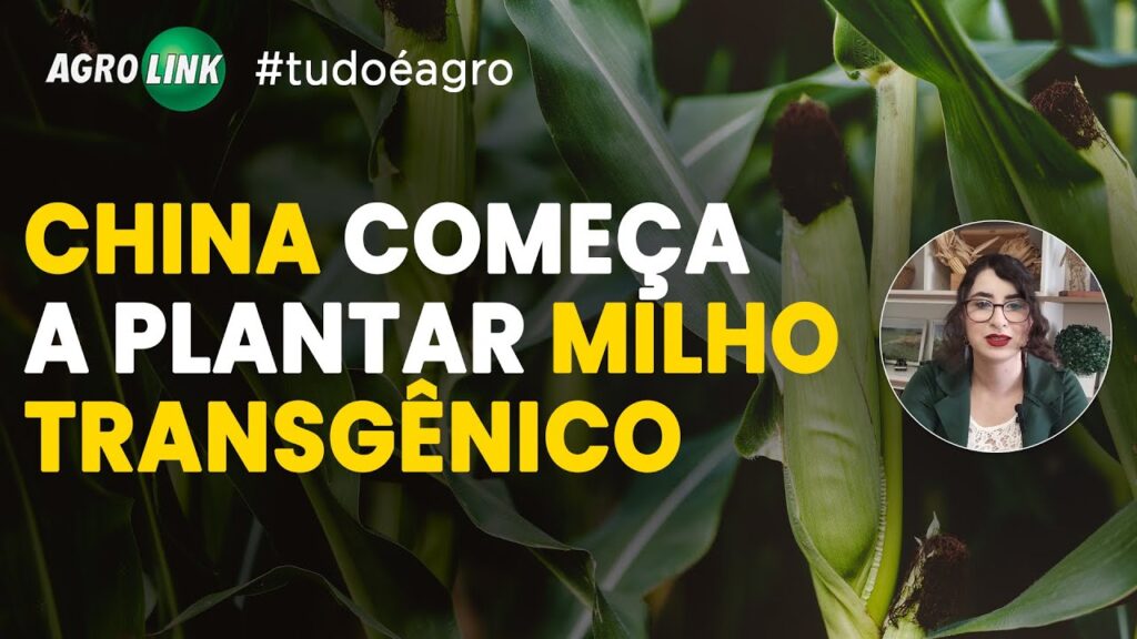 resumo do agro principais noticias 18 02