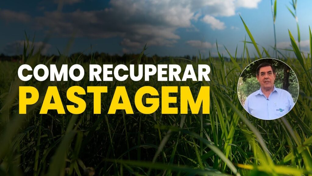 Revitalizando Pastagens Degradadas 16 revitalizando pastagens degradadas