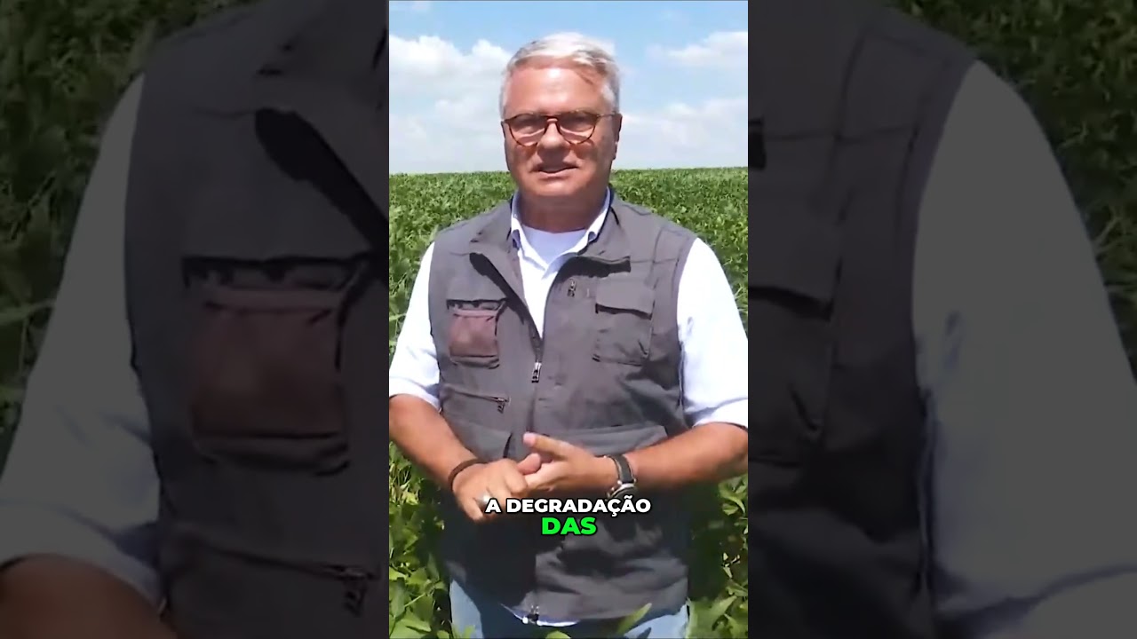 Restauração de #Pastagens Degradadas - Estratégias para a #pecuária