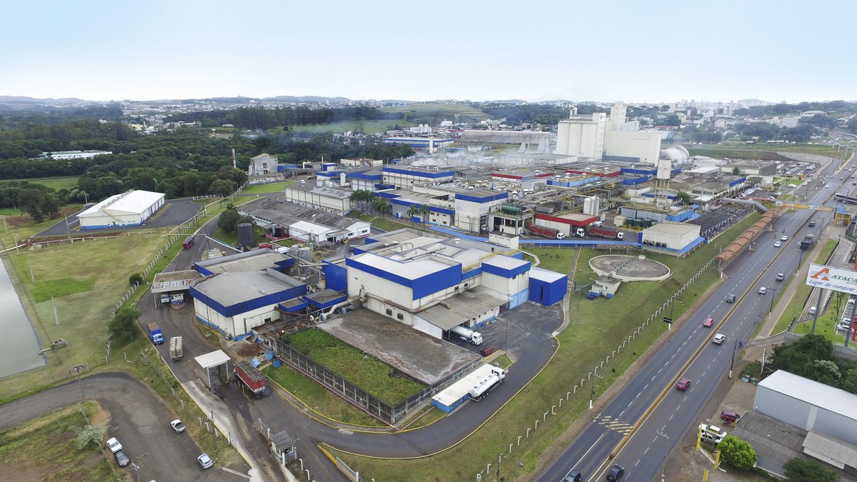 Rússia expande lista de frigoríficos brasileiros – saiba mais!