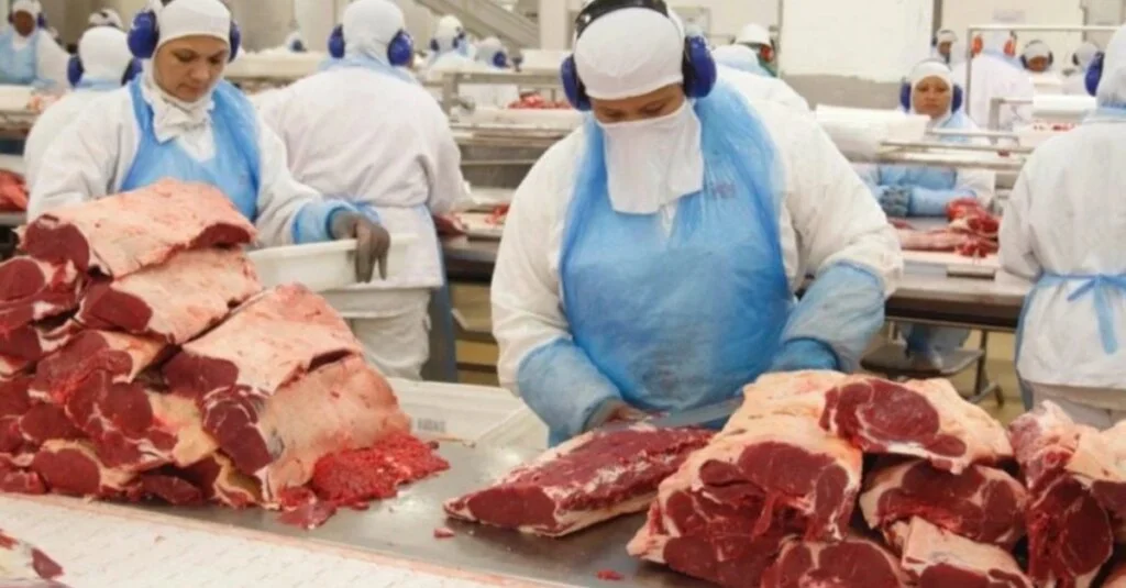 Rússia libera exportação de frigoríficos brasileiros 6 Rússia libera exportação de quatro frigoríficos do Brasil