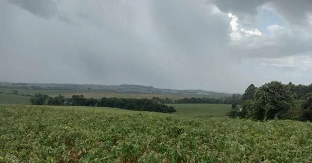 Safra gaúcha de soja ameaçada pela falta de chuva 8 Falta de chuva põe safra gaúcha de soja “no limite”