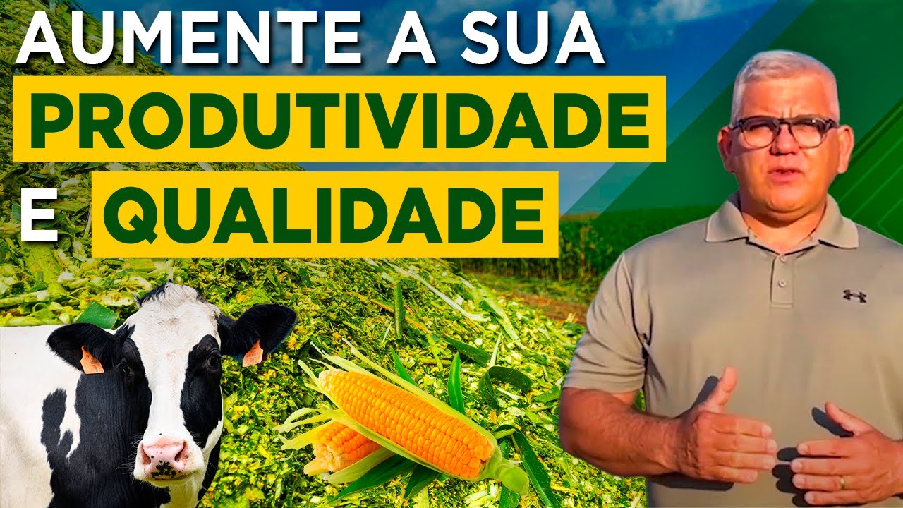 “Segredos da Silagem: Dicas de Produção” – Robson Fernando – CORTEVA