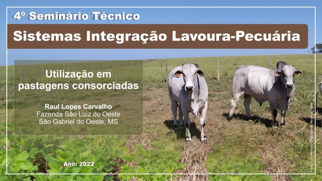seminario tecnico ilp caso de sucesso utilizacao em pastagens consorciadas