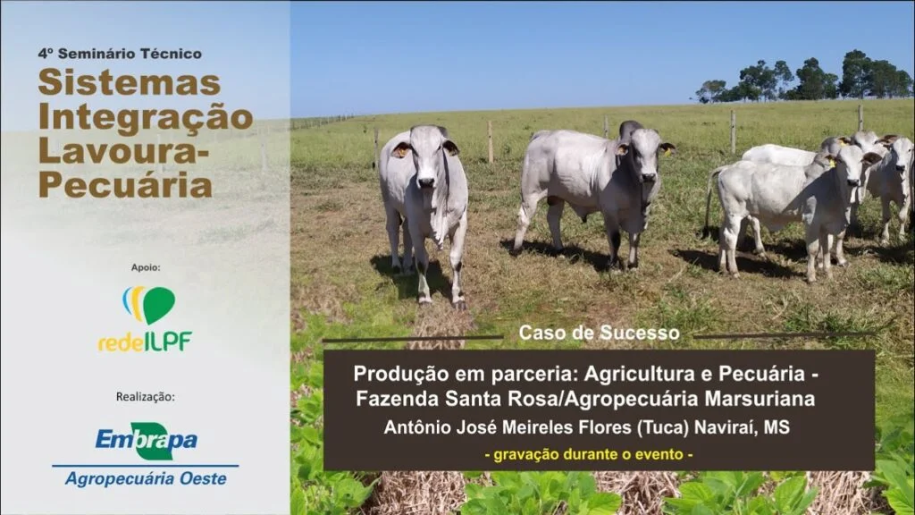 seminario tecnico sistemas ilp caso de sucesso producao em parceria agricultura e pecuaria