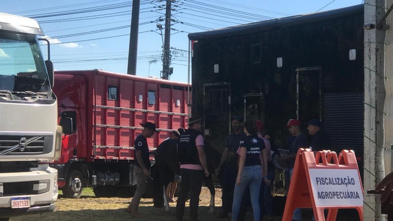 Servidores da Secretaria da Agricultura recebem animais no 35º Rodeio Crioulo Internacional de Vacaria