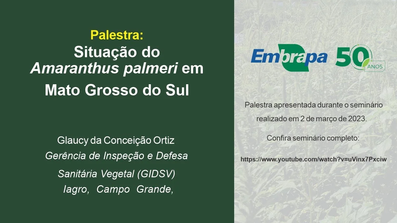 Situação do Amaranthus palmeri em Mato Grosso do Sul 1 situacao do amaranthus palmeri em mato grosso do sul