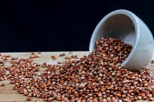 Sorgo: um cultivo misterioso e versátil.