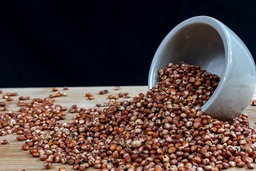 Sorgo: um cultivo misterioso e versátil. 15 Sorgo: o que é e para que serve esse cultivo?