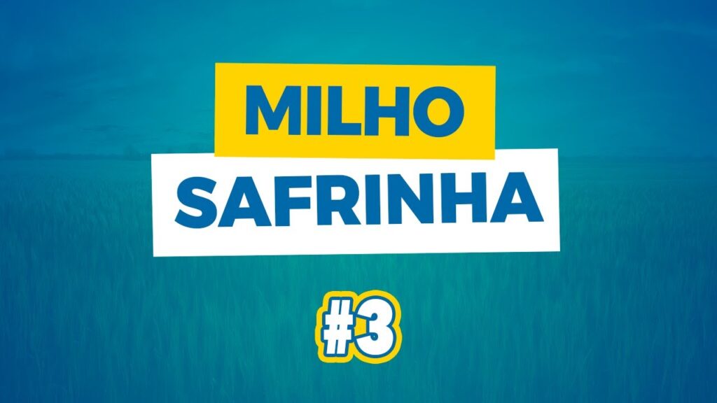sucesso na safrinha de milho shorts