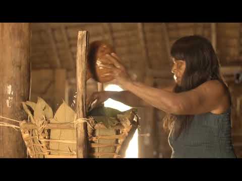 teaser do documentario sal do aguape