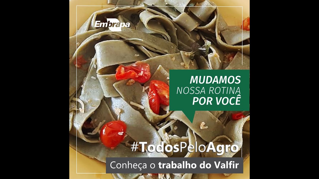 todospeloagro conheca o trabalho do valfir